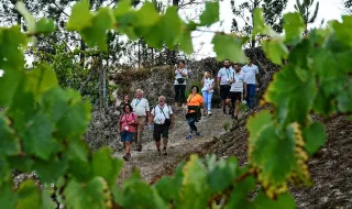 Gatão celebra o Vinho Verde com dois dias de festa, tasquinhas e Ronda das Adegas