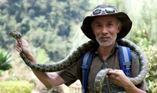Perdeu um dedo e recusou 150 mil dólares. Médico dedicou 37 anos a estudar e proteger cobras