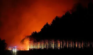 De 254 mil para 67 mil hectares: chuva ajuda a cortar área ardida em Portugal em 74%