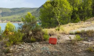 Alarma en un pueblo de Castellón: hallan un bidón de gasolina lleno en una zona forestal