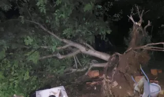 Granizo e chuva intensa fazem estragos na Branca