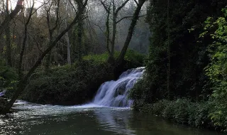 “Brotar da Natureza” está a chegar a Oliveirinha