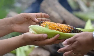 Inflação faz famílias em dificuldades recorrerem à ajuda alimentar nos Estados Unidos