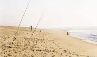 Praia da Tocha recebe Festival da sardinha assada na telha e da batata assada na areia