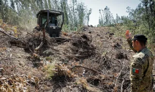 Exército já desobstruiu 808 quilómetros de estradas após depressão Kristin