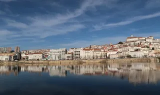 Neste espaço em Coimbra pode escolher os toppings que quiser para criar o “melhor” açaí