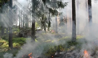 Calor mantém perigo de incêndio máximo em dezenas de concelhos