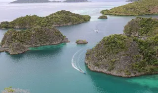 Nova Guiné: a ilha com a mais diversificada flora no mundo