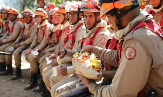 Argélia: incêndios mortais devastam nordeste, governo declara luto nacional