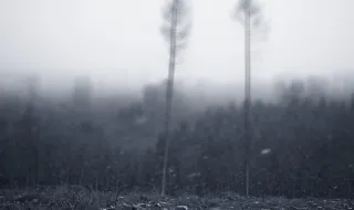 Crise climática e ambiental é ignorada nos planos de governo de quase todos candidatos ao Planalto, aponta Observatório