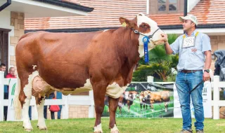 Auriol Dongmo campeã do lançamento do peso com recorde dos Jogos