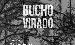 Fundação Cecília Zino inaugura exposição "Bucho Virado"