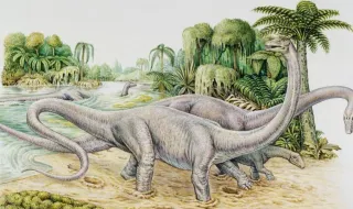 Primeiro 'diplodocus' da Europa foi descoberto em Espanha e reforça hipótese dos dinossauros 'atravessarem' o Atlântico