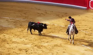 Piloto abandona corrida e salva companheiro de carro em chamas durante prova na China, que agradece: 'Maior super-herói da história'
