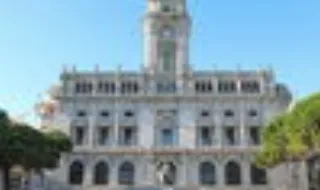 Câmara do Porto determina "abate urgente" de 19 árvores na Avenida dos Aliados