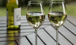 VIDIGUEIRA HOMENAGEIA BAIXO ALENTEJO - CIDADE EUROPEIA DO VINHO