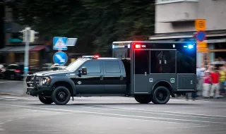 Mais resistente do que a potus e muito mais elegante: a planta de interior que está na moda