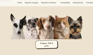 La jueza que investiga la entrada masiva en Ceuta admite como acusación a una asociación "dirigida" por cuatro perros y un gato