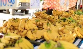 “Comiam uma banana, bebiam o moscatel e recebiam as nomeações”