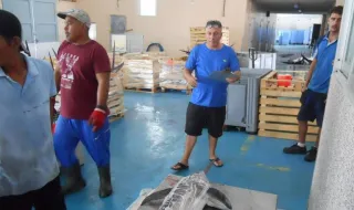 Barcos italianos desembarcan 22 toneladas de pez espada en Vinaròs