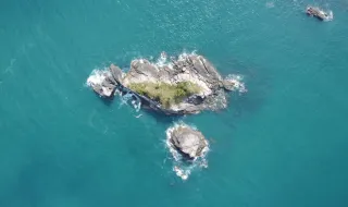 Ilha gigante cheia de plantas 'aparece e desaparece' sem explicação em represa