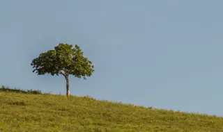 A natureza contra a tecnologia: os fenómenos que estão a travar as centrais europeias