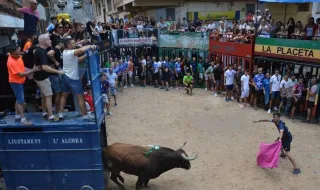Nueva triple ración de toros cerriles en las fiestas de l'Alcora