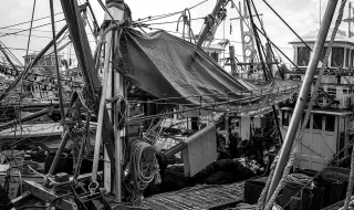 Governo Regional disponibiliza 870 mil euros para compensar operadores do setor da pesca pelo aumento dos combustíveis