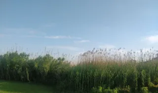 Paulo Rangel considera "inaceitável" ataque com drone junto à embaixada portuguesa em Kiev