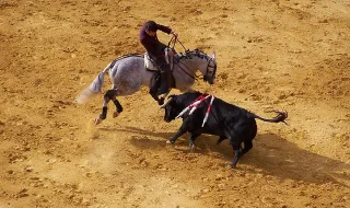Corrida aos postos de combustível antes do aumento dos preços