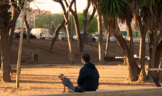 Parque canino de Quarteira tem nova imagem após conclusão de mural artístico