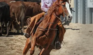 Eduardo Paes cowboy, Douglas Ruas corredor, Garotinho fora mas dentro: a campanha de TV está de volta