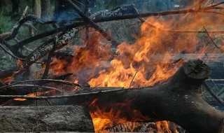 Proteção Civil alerta para previsão meteorológica favorável a incêndios rurais