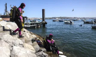Carrinhos de supermercado são a nova casa de cavalos-marinhos nas águas do Tejo
