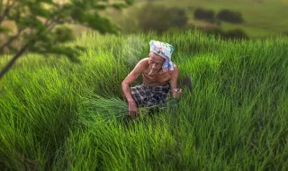 Óscar deixou de trabalhar aos 97 anos após 85 anos como agricultor e guarda boas memórias do seu percurso: “No verão dormia debaixo da ceifeira”