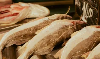 "Pescas, soberania e moeda. São estas as três questões" que fizeram a Islândia negar a UE mais uma vez
