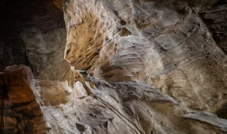Vindimas nas Caves São João regressam com experiências