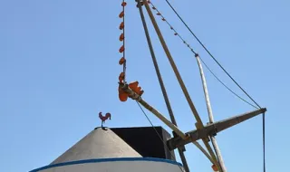 Ericeira: Detido com nove pés de canábis