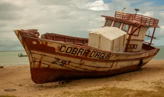Que espécie é esta: cobra-de-água-de-colar-mediterrânica