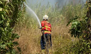 Onze concelhos em perigo máximo de incêndio