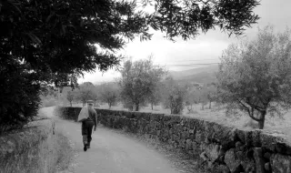 Gouveia – Recolha de ave de rapina debilitada