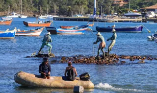 Faltam pescadores na ilha da Madeira
