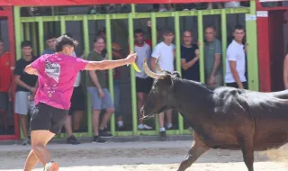 La Entrada de toros y vacas de Nacho Claramonte marca el mediodía festivo en Burriana