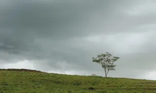 Antes da bonança vem a ‘tempestade’: chuva e frio continuam em Portugal neste dia e estas serão as regiões mais afetadas