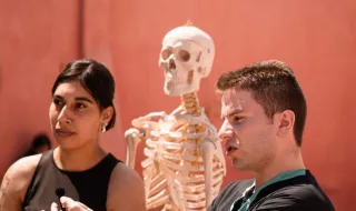 Nova licenciatura em Fisioterapia estreia-se com a nota de entrada mais alta da UPV