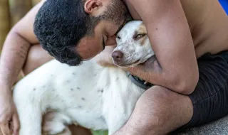 Ana Hickmann se despede de cãozinho Zhee: 'Saudade gigante'