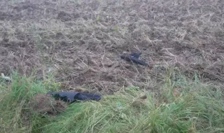 Lituânia abate drone que atravessou a fronteira a partir da Bielorrússia, aliada de Moscovo