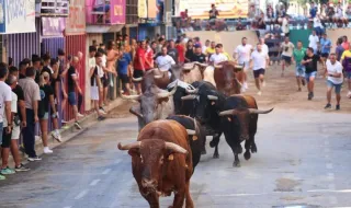 Vila-real vuelve a correr delante de los toros 16 meses después con un encierro 'de campanillas'