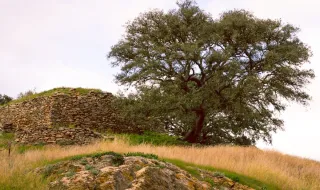 Quercus contra exploração de caulino e argila em Peniche