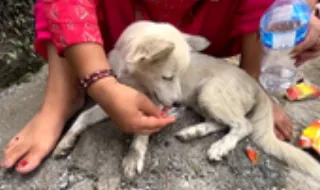 Ajuda humanitária chega às zonas devastadas pelas cheias no Nepal enquanto prosseguem as operações de resgate